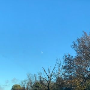 Meet your Posher, Niki